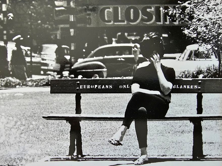 Johannesburg 1960s, lady sitting on whites only bench in a park near a fountain by Michael Joseph