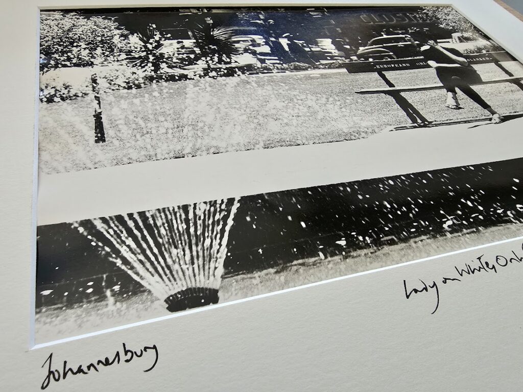 Johannesburg 1960s, lady sitting on whites only bench in a park near a fountain by Michael Joseph