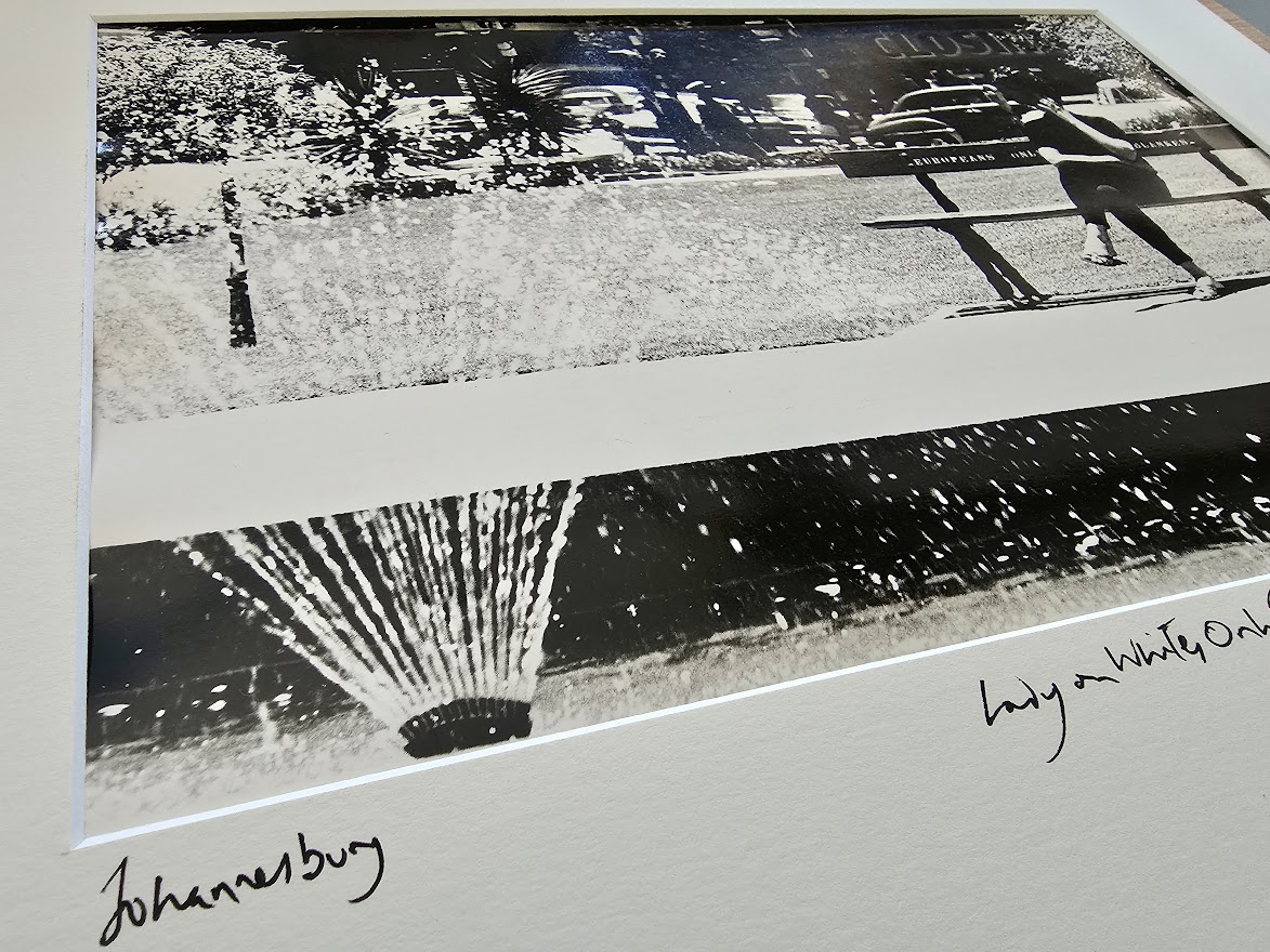 Johannesburg 1960s, lady sitting on whites only bench in a park near a fountain by Michael Joseph