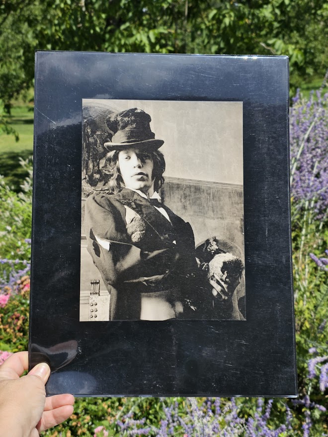 Portrait de Mick Jagger avec une poule sous son bras - tirage ayant été plastifié et signé par Michael Joseph