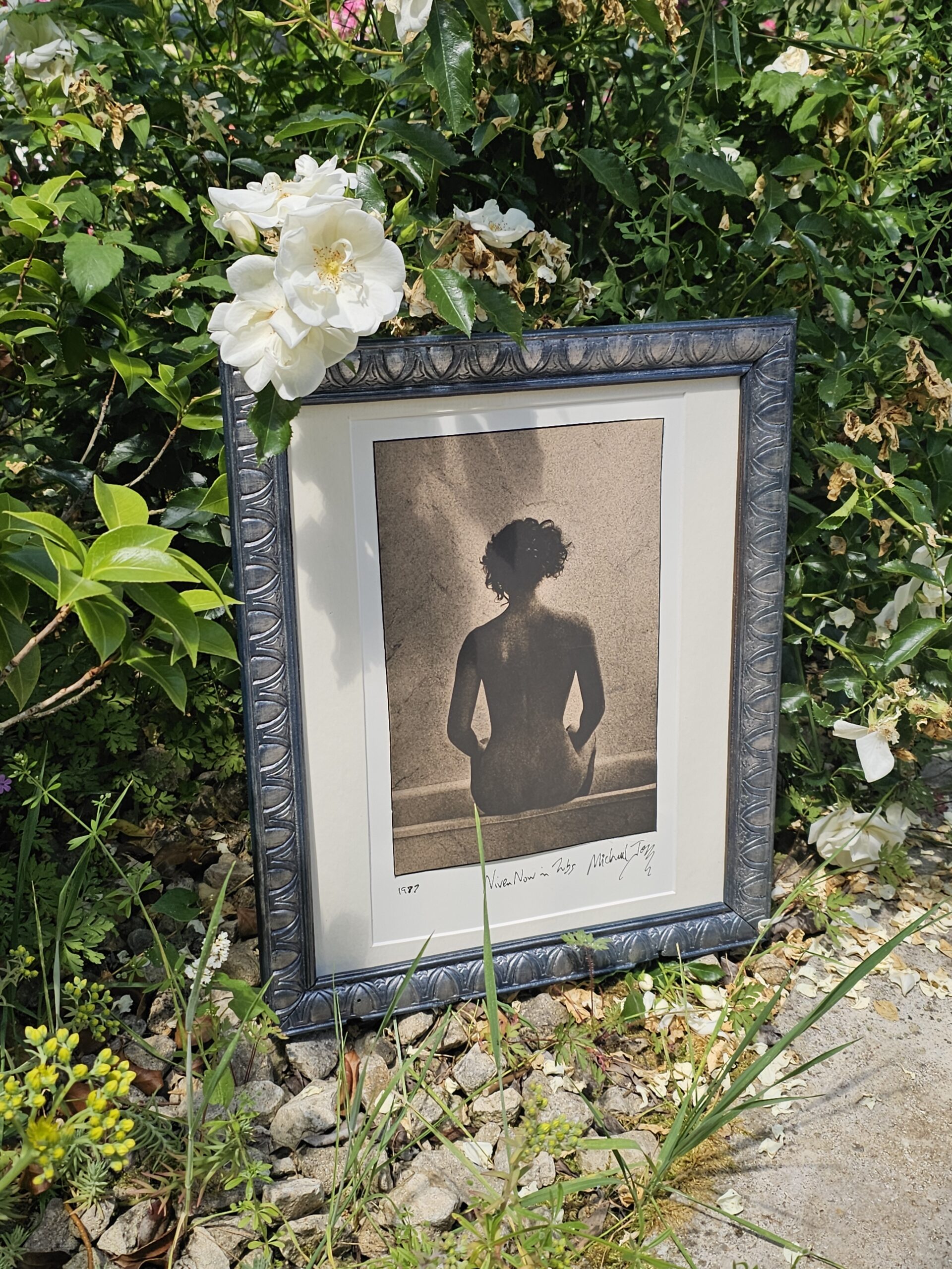 Nivea désormais en pot – Vue de dos poétique d’une femme nue Inspirée par Le Violon d’Ingres de Man Ray… ou pas, telle est la question par Michael Joseph