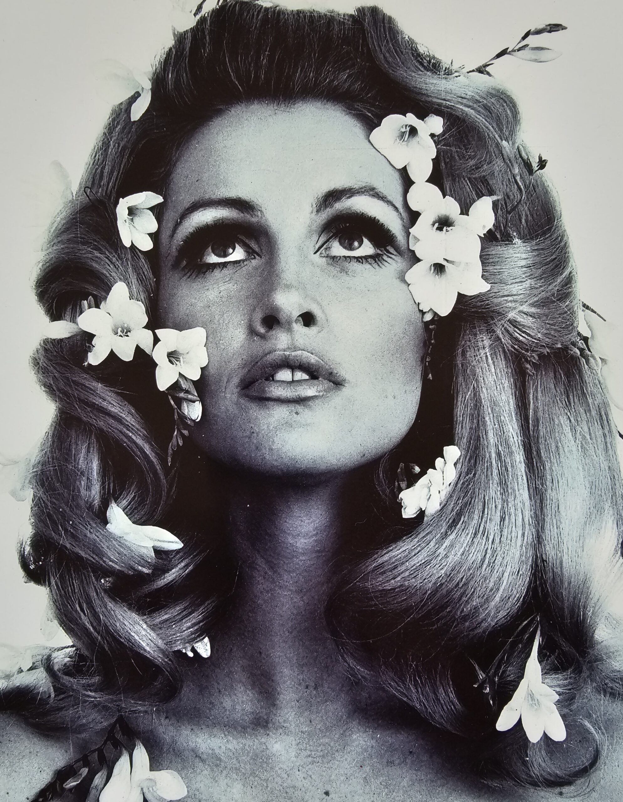 Flowers in hair, Londres années 60, portrait femme visage sublime et aux fleurs dans les cheveux par Michael Joseph