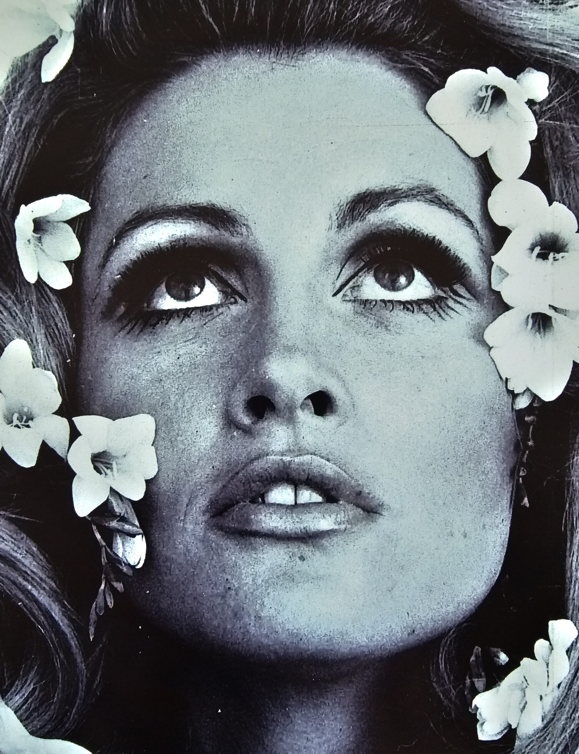 Flowers in hair, Londres années 60, portrait femme visage sublime et aux fleurs dans les cheveux par Michael Joseph