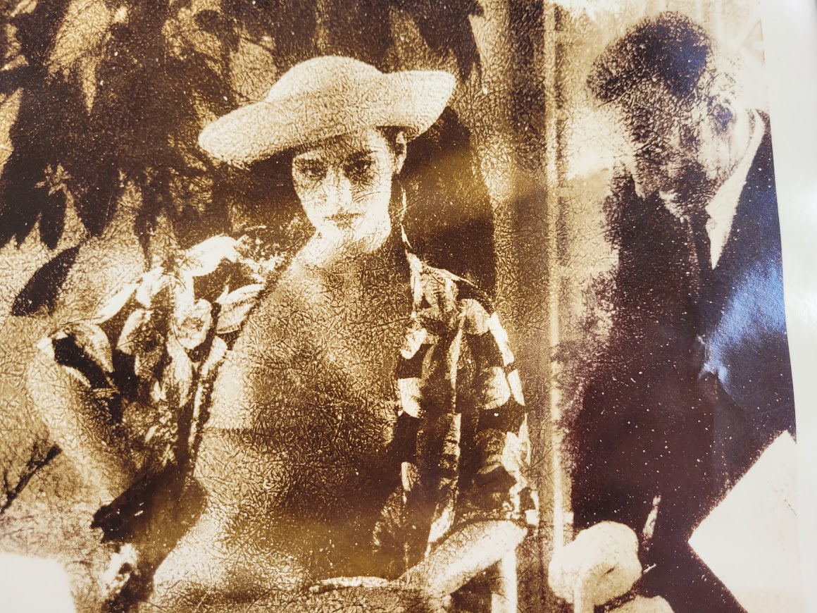 Mill Hill Pool Ladies, zoom rêveur - imprimé kodalith aux tons bruns doux