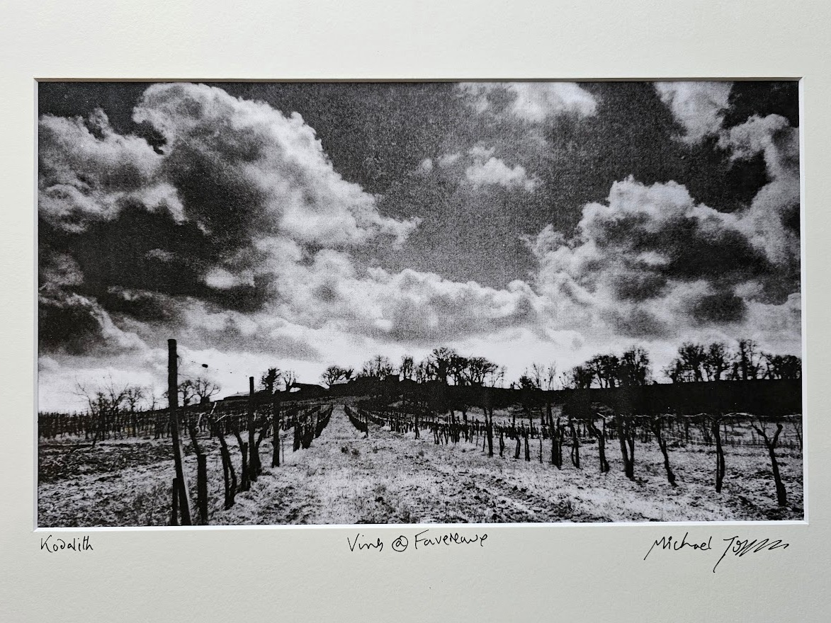 Vineyard at Favereau - dramatic cloudy sky beyond, black and white darkroom print, Kodalith by Michael Joseph