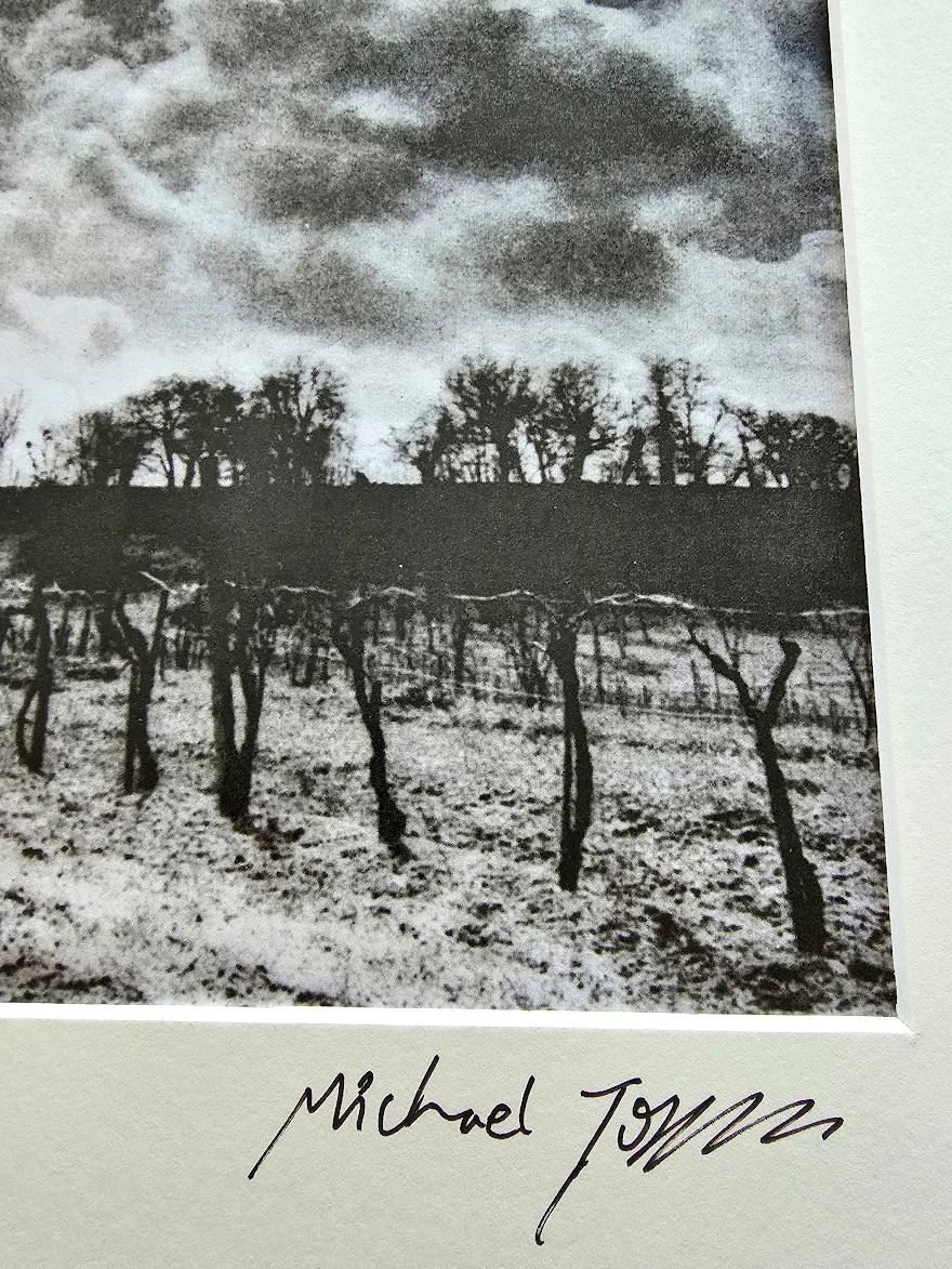 Vineyard at Favereau - dramatic cloudy sky beyond, black and white darkroom print, Kodalith by Michael Joseph