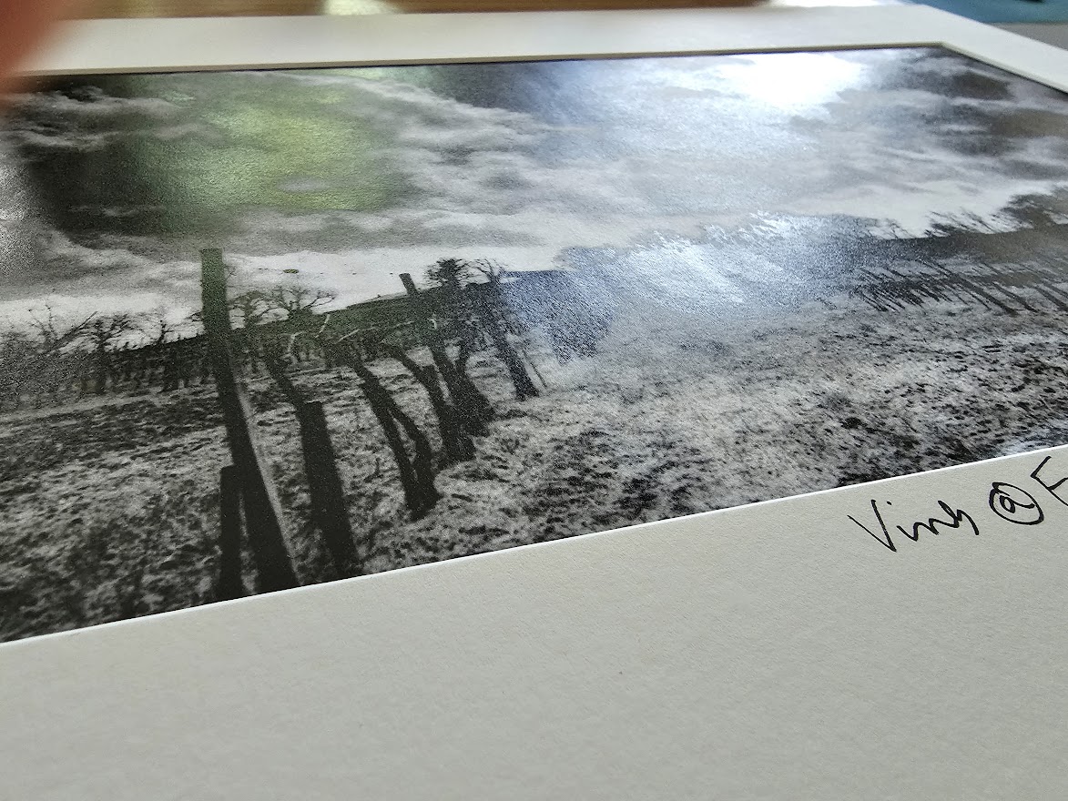 Vineyard at Favereau - dramatic cloudy sky beyond, black and white darkroom print, Kodalith by Michael Joseph