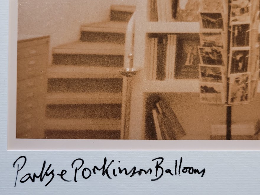 Norman's balloons - Parks in pink at the Porkinson sausages launch at Hamilton's Gallery London by Michael Joseph