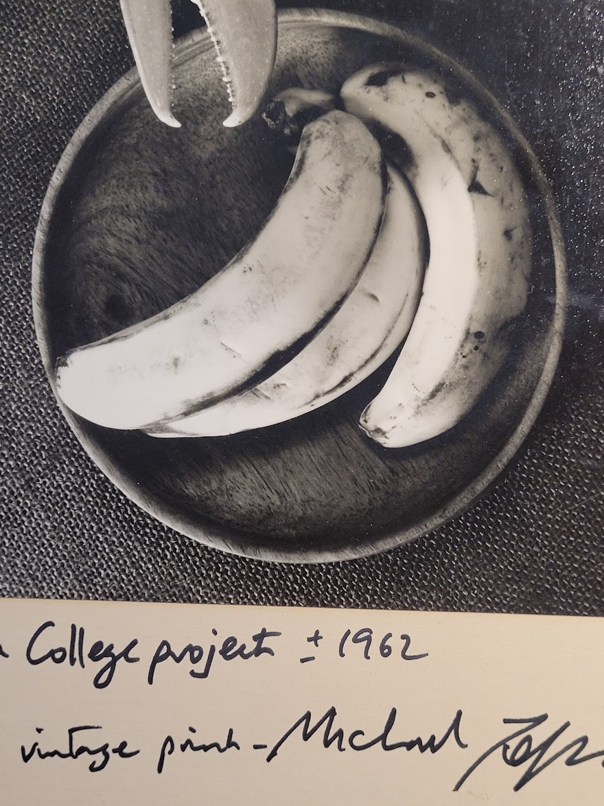 Un homard et trois bananes (tirage authentique noir et blanc réalisé en chambre noire) par Michael Joseph