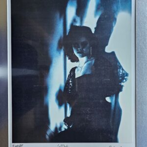 Lady in obscurity blue, laminated print by Michael Joseph