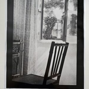 Favreau chair, with view through window of vines beyond, by Michael P Joseph