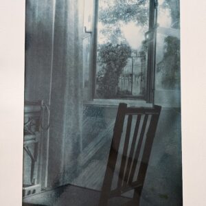 Favreau chair, with view through window of vines beyond, blue tone bromide by Michael Joseph