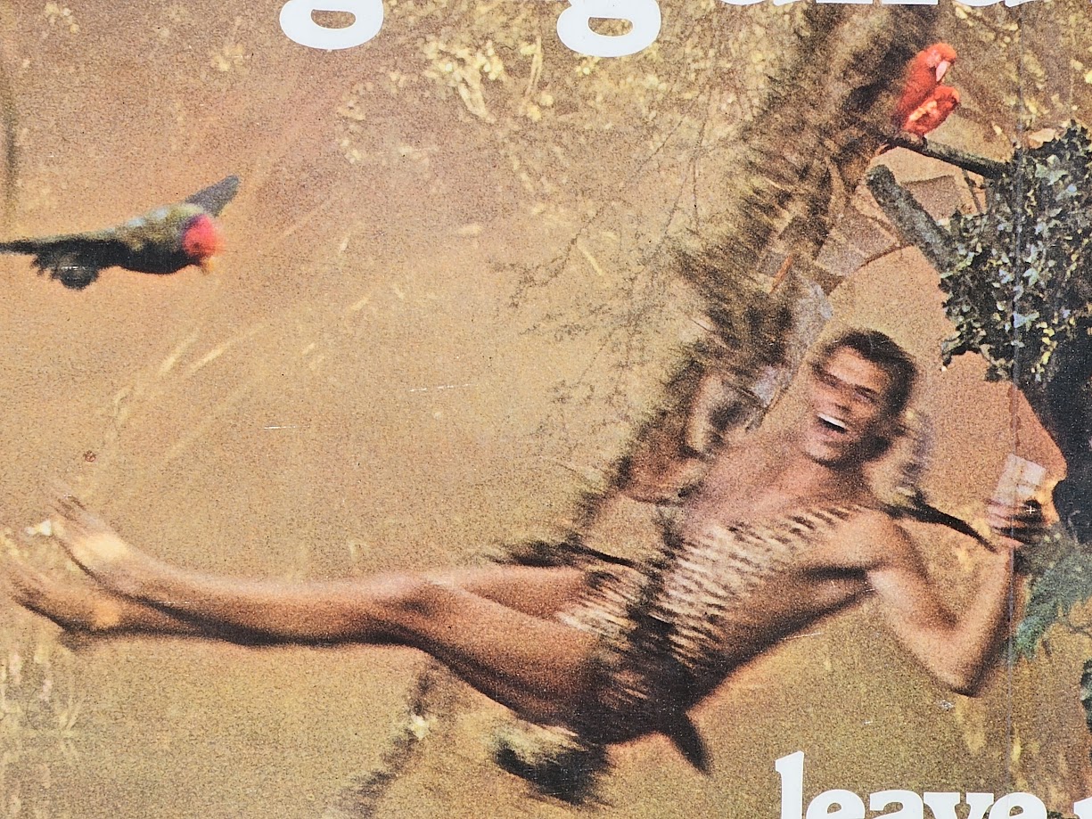 Swinging and Smirnoff, leave me breathless, Tarzan Jane vodka advert, lurking in the woods by Michael Joseph