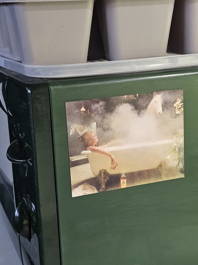 Magnet White Horse girl in bath, Aimant femme dans baignoire avec cheval et verre de whisky, photo par Michael Joseph