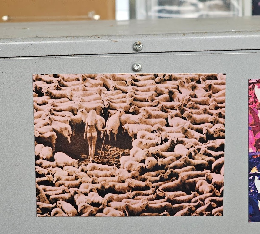 Magnet Bergère nue dans les moutons, Aimant girl in sheep teinte rose, photo par Michael Joseph