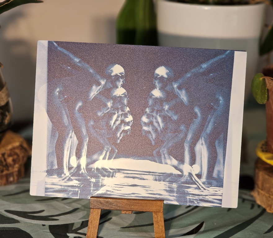 Dive either way – double exposure from the pool ladies series (mat finish)
