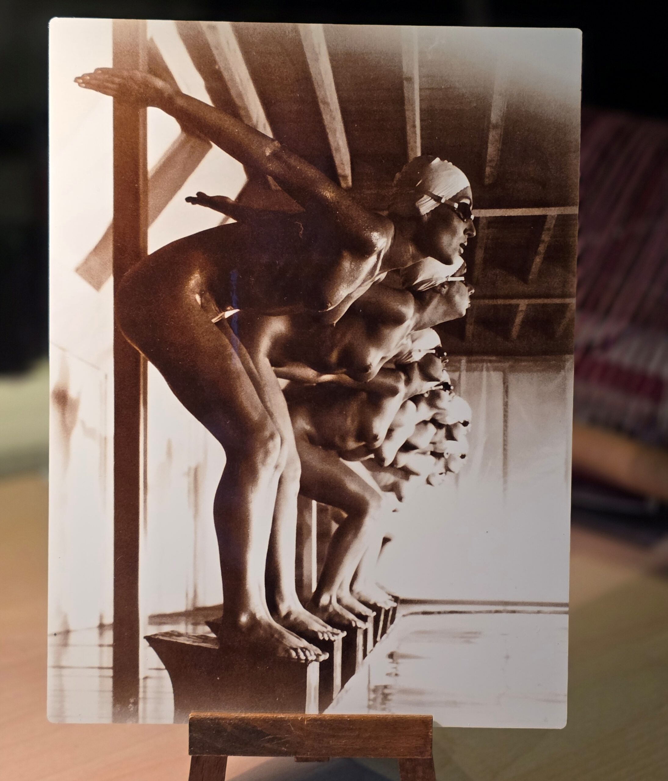 Ready to dive - brown warm-toned edition – gloss finish – print on aluminium