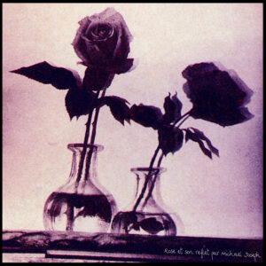 Rose et son reflet, Carte Postale de Michael Joseph