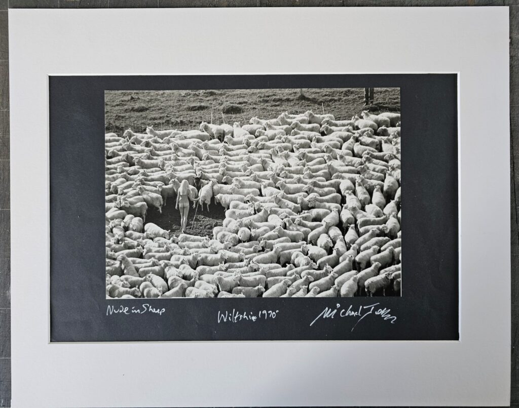 La bergère nue et entourée de moutons, tirage chambre noire, sans avoir été recadrée par Michael Joseph