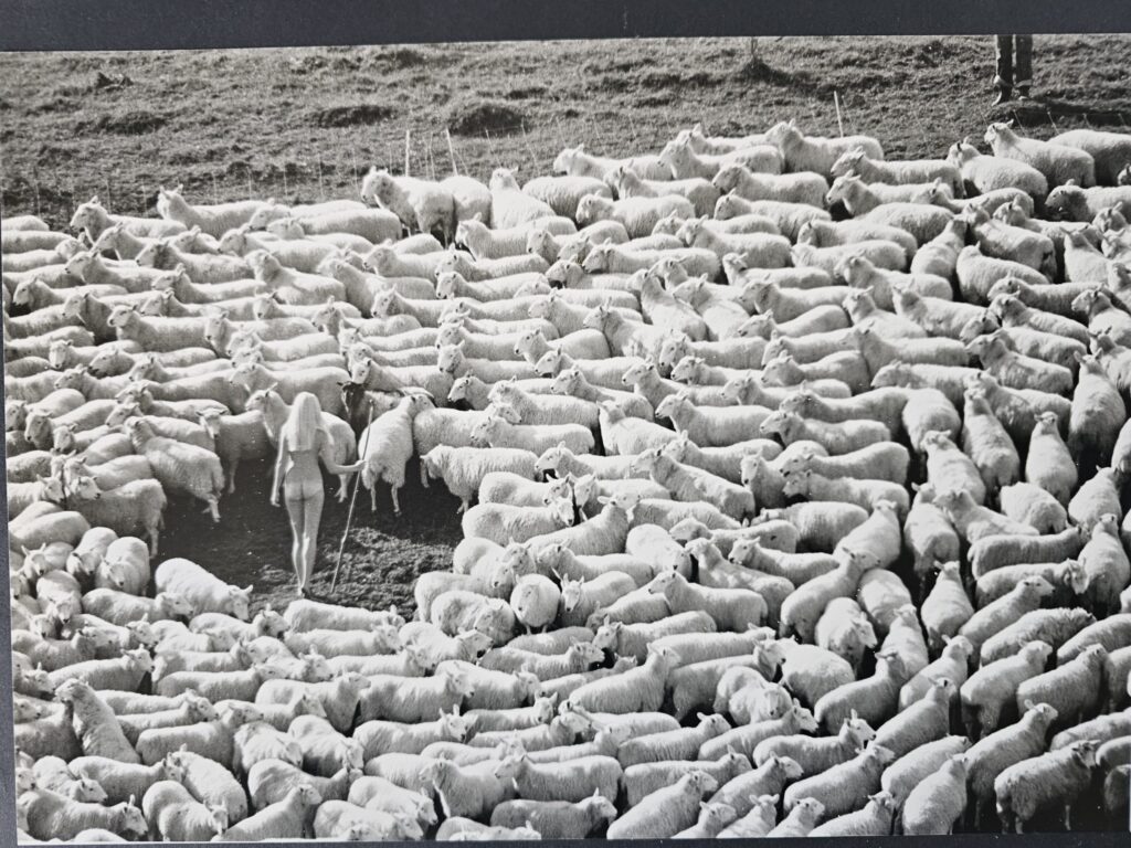 La bergère nue et entourée de moutons, tirage chambre noire, sans avoir été recadrée par Michael Joseph