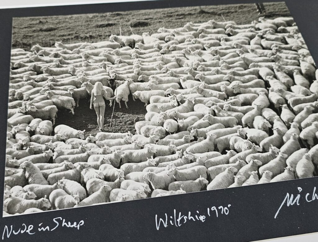 La bergère nue et entourée de moutons, tirage chambre noire, sans avoir été recadrée par Michael Joseph