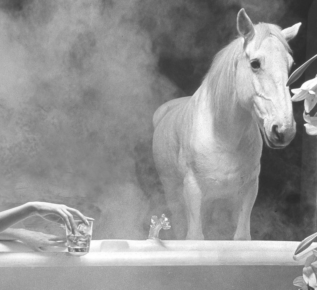 Whisky White Horse, fille dans un bain avec cheval blanc présent, publicité des années soixante-dix par Michael Joseph