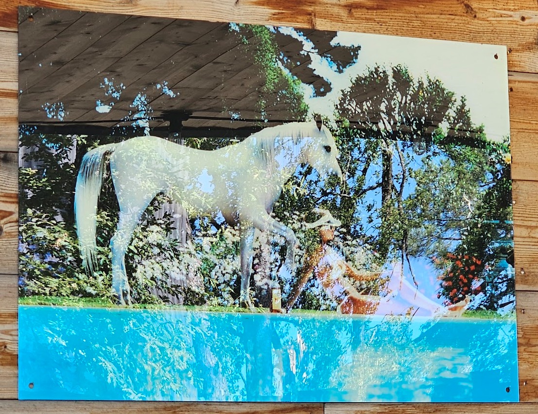 Fille au bord du bassin avec cheval blanc présent, publicité Whisky White Horse, des années soixante-dix par Michael Joseph