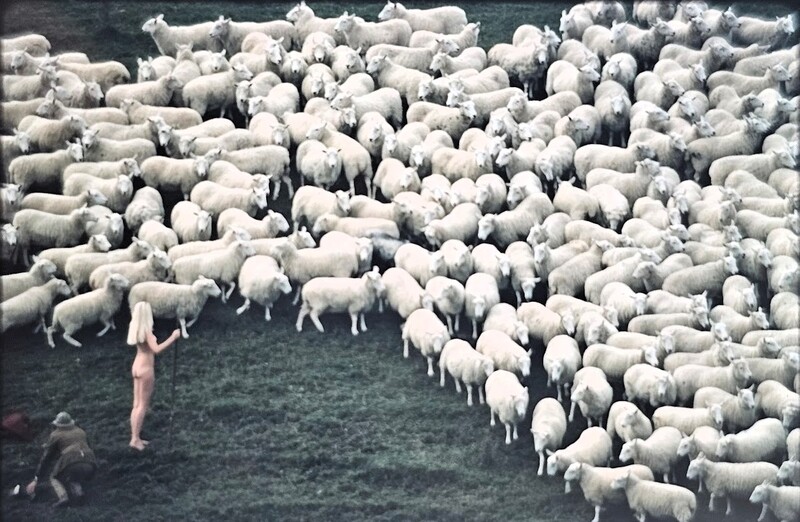 Naked woman stands in a field surrounded by sheep