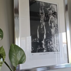 Solo swimmer, pool ladies photoshoot, on aluminium, Michael Joseph