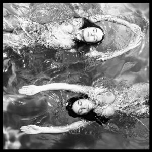 "Blue Swimming Opposite" noir et blanc, Carte postale de Michael Joseph