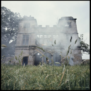 Grass in limelight Carte Postale de Michael Joseph