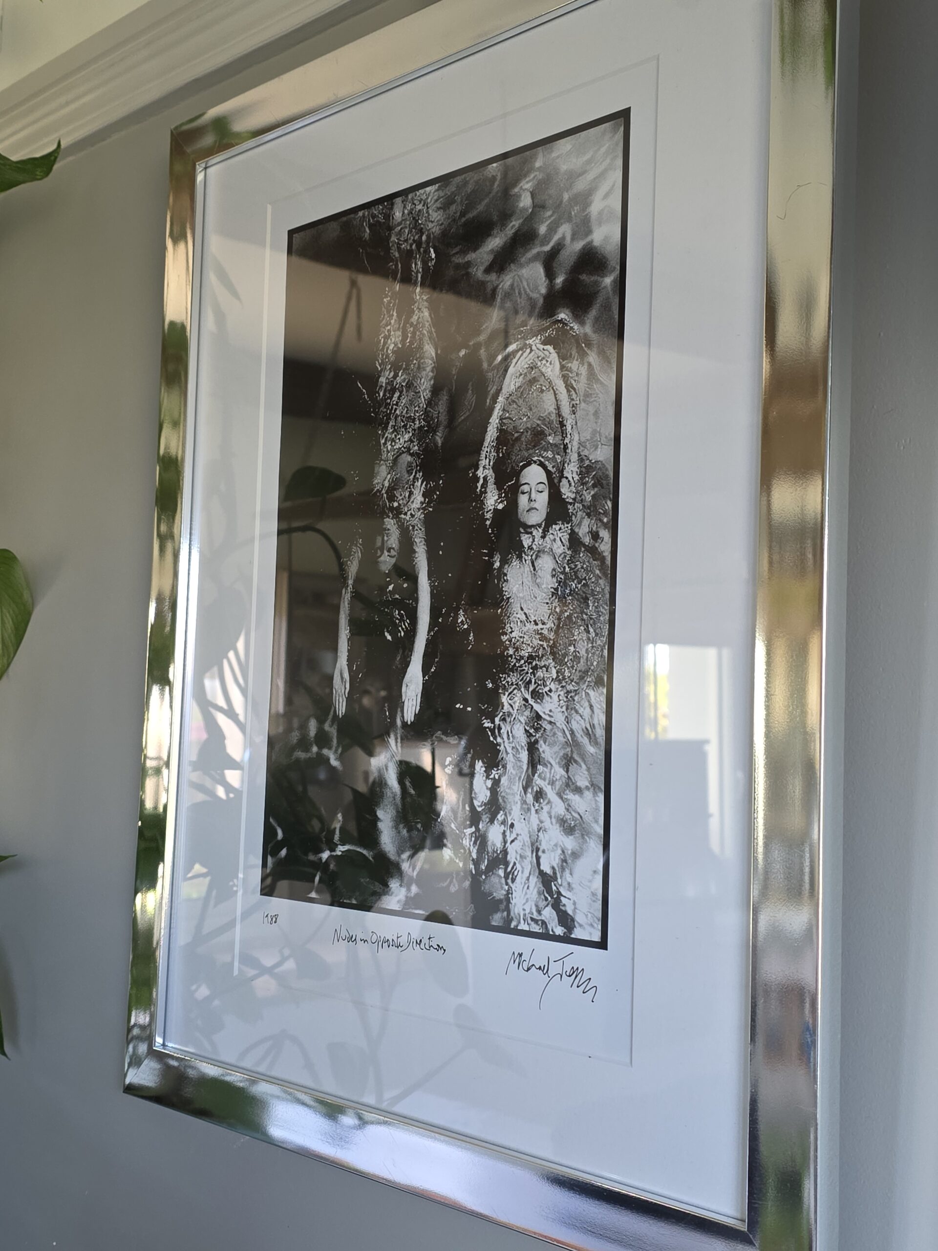 Solo swimmer, pool ladies photoshoot, on aluminium, Michael Joseph