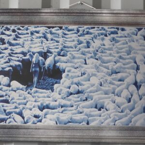 Nude in Sheep, print on aluminium, Michael Joseph