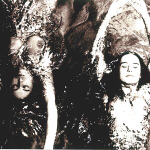 Swimming opposite, pool ladies print on aluminium, gloss finish photo by Michael Joseph