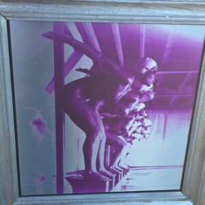 Ready to dive, pool ladies photo-shoot, purple print on aluminium, Michael Joseph