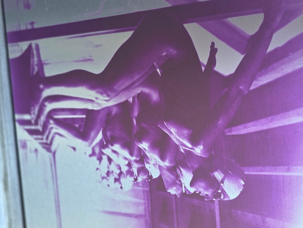 Ready to dive, pool ladies photo-shoot, purple print on aluminium, Michael Joseph