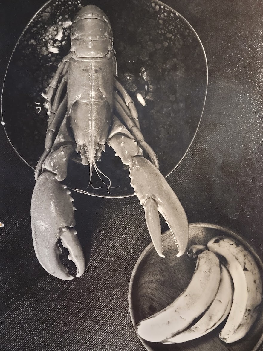 A067-Lobster-and-three-bananas-05.jpg