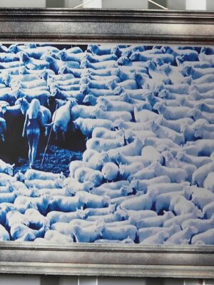 Nude in Sheep, Blue artistic print on aluminium, photo by Michael Joseph
