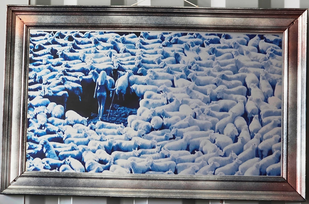 Nude in Sheep, Blue artistic print on aluminium, photo by Michael Joseph