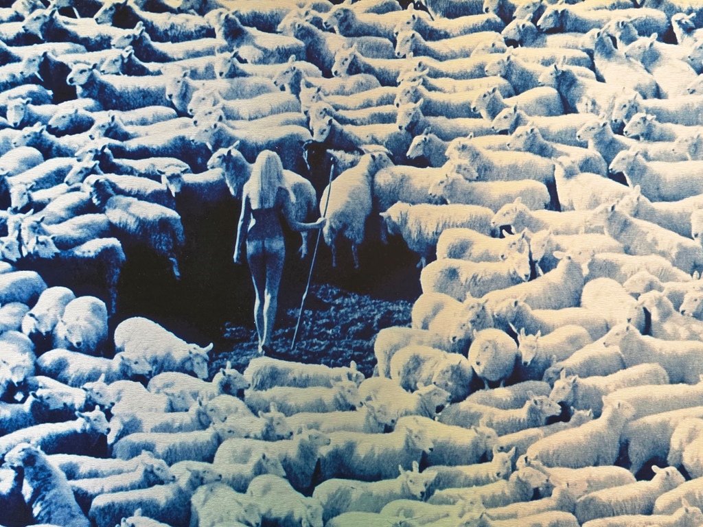 Nude in Sheep, Blue artistic print on aluminium, photo by Michael Joseph – Image 2