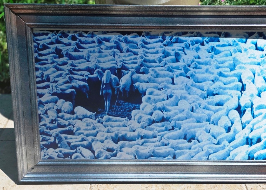 Nude in Sheep, Blue artistic print on aluminium, photo by Michael Joseph – Image 6