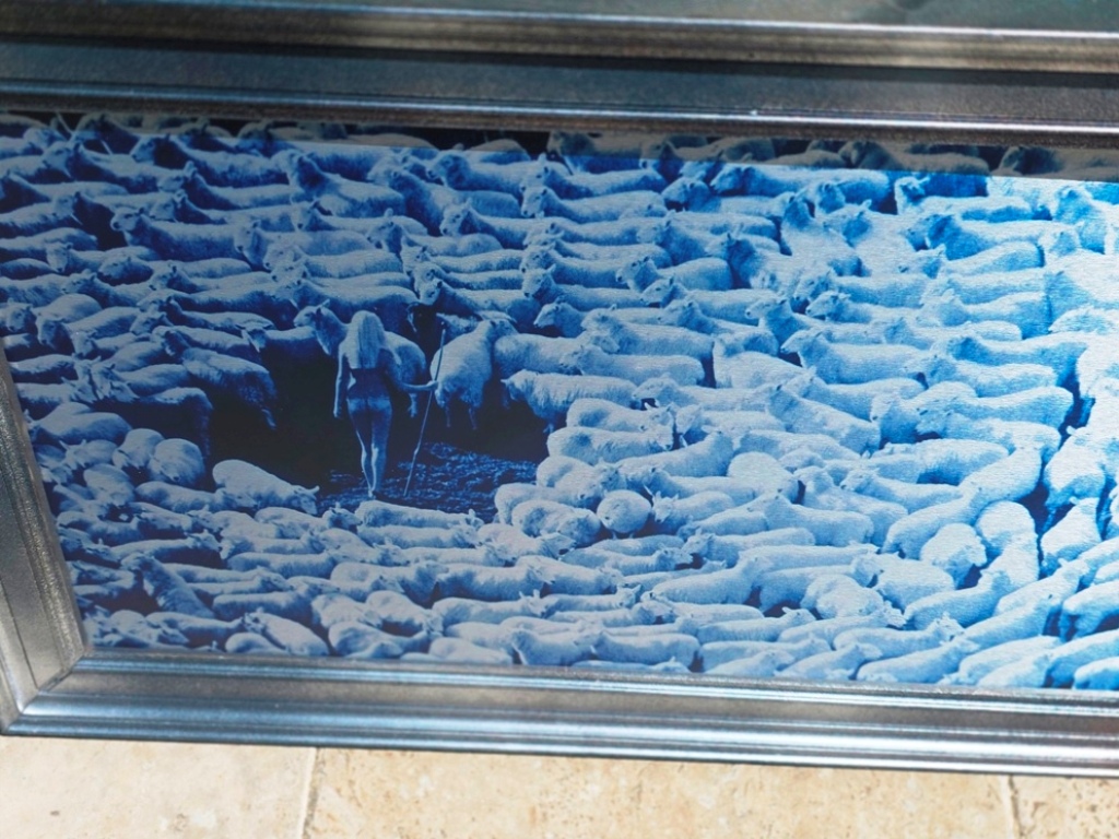 Nude in Sheep, Blue artistic print on aluminium, photo by Michael Joseph – Image 7