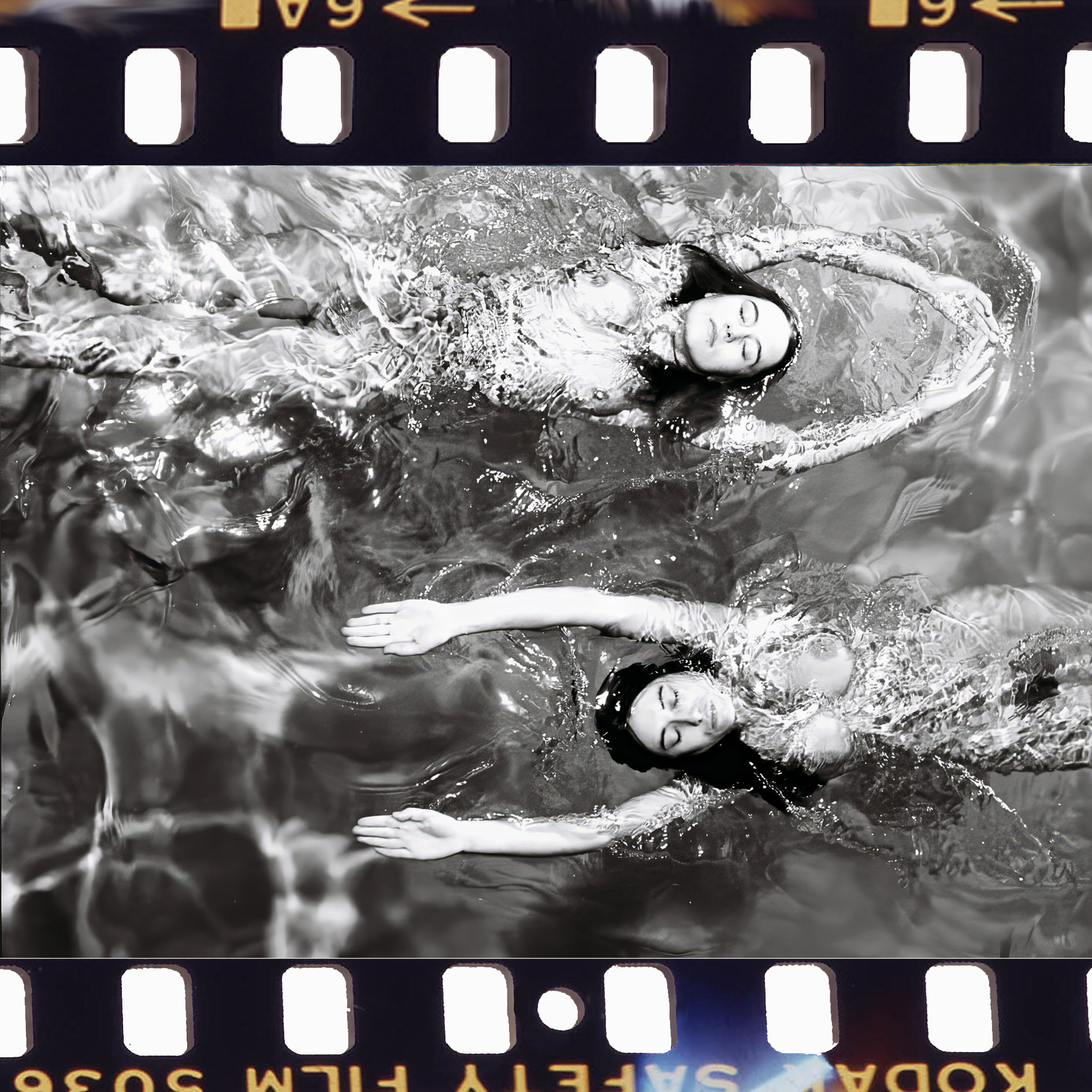 "Swimming Opposite" noir et blanc, Carte postale de Michael Joseph