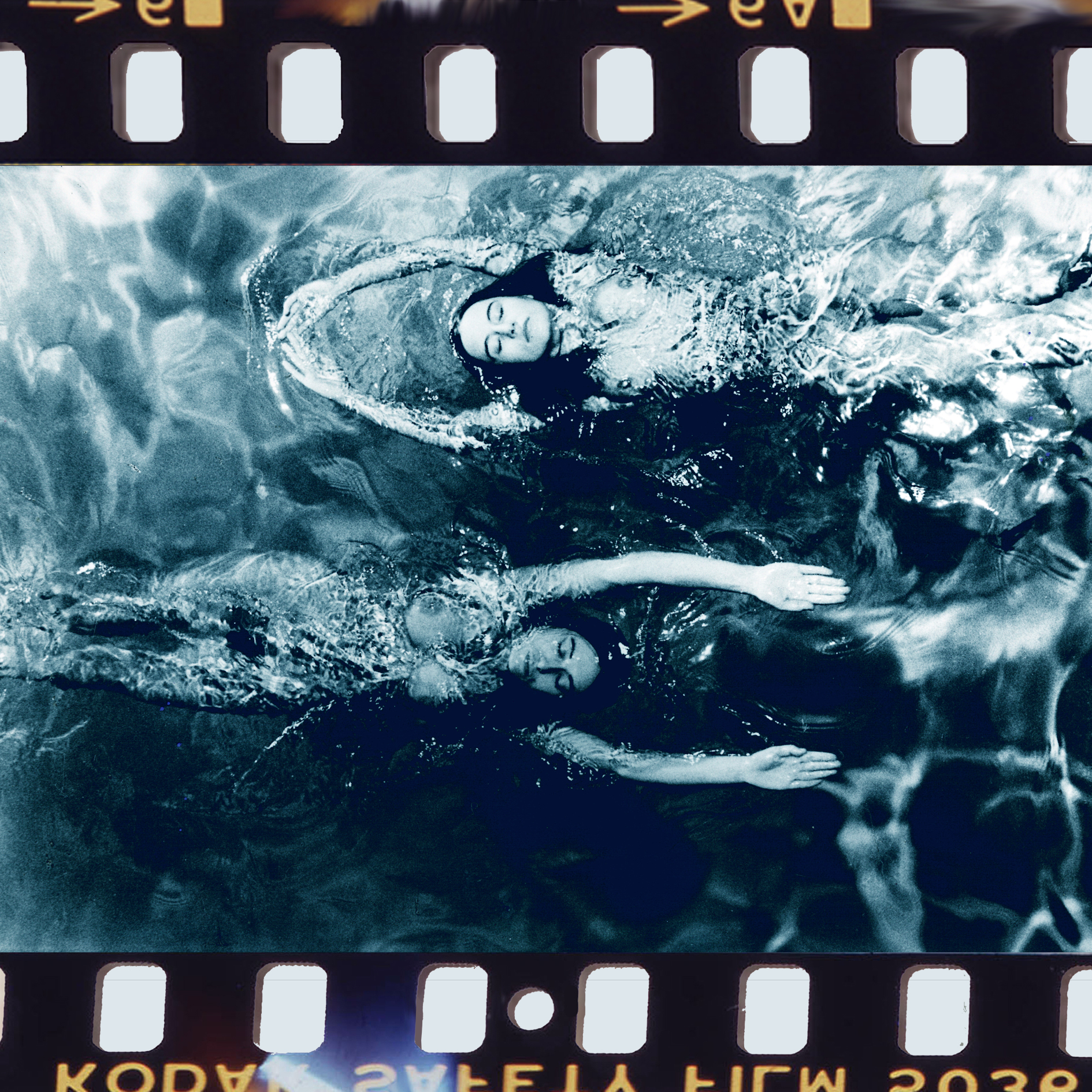 "Blue Swimming Opposite" Carte postale de Michael Joseph
