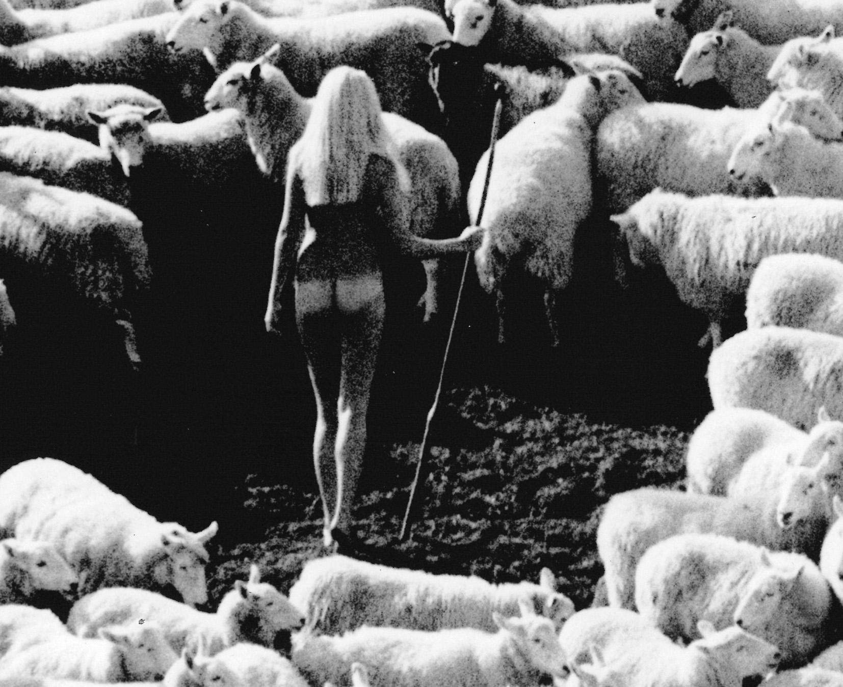 Bergère nue dans troupeau de moutons (publicité pour la laine IWF, années 70) – affiche en noir et blanc, photo par Michael Joseph – Image 6