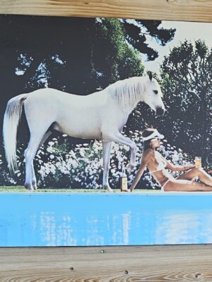 PE09 White Horse by pool context 03