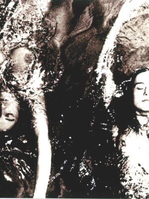 Swimming opposite, pool ladies print on aluminium, gloss finish photo by Michael Joseph