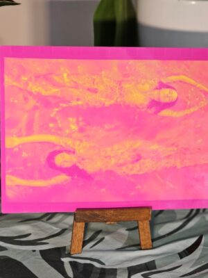 Swimming opposite, pink yellow, Pool Ladies series for Playboy Interview photo-shoot, gloss