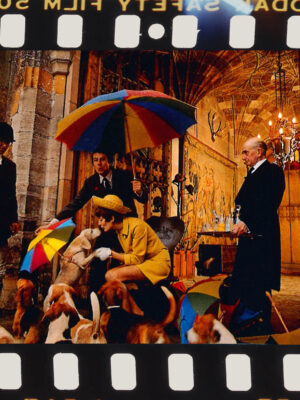 Schweppes Country Scene — Multicoloured Umbrellas Postcard