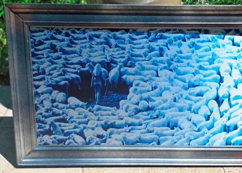 Nude in Sheep, Blue artistic print on aluminium, photo by Michael Joseph - Image 6